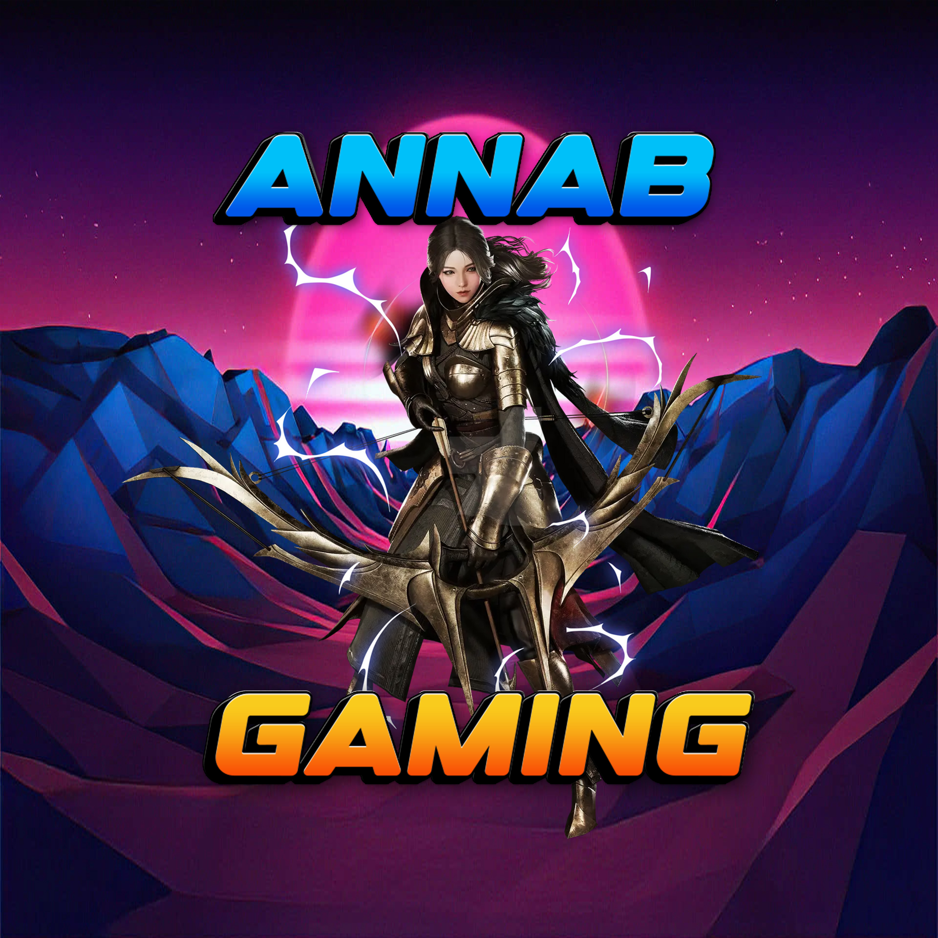 Streamer Activity Board | Streamer Supporting System