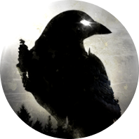 NIGHT CROWS